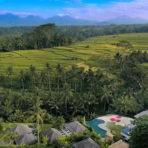 https://puri-sebali-resort.ubudhotelsnow.com